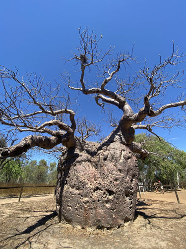 Our Guide to the Gibb River Road – PART ONE